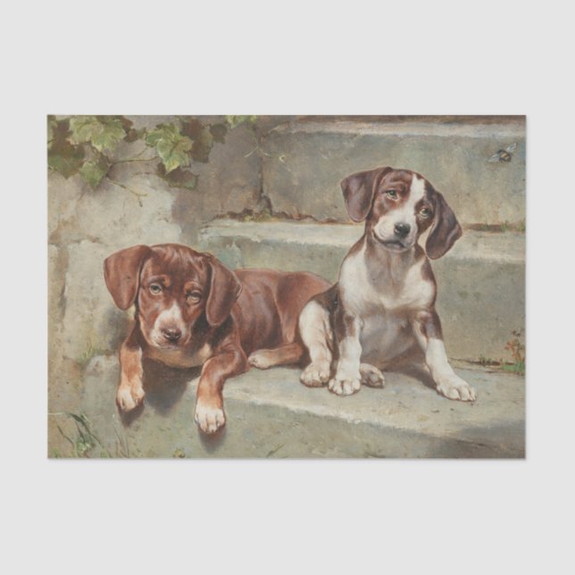 Gestorte Siesta von Carl Reichert Seidenpapier (Vorderseite)