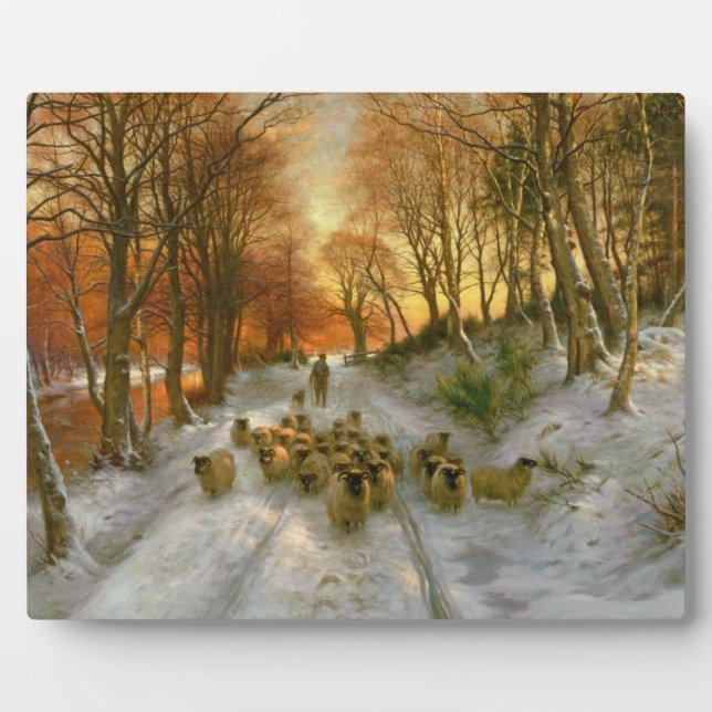 gestrahlt mit Abend-Stunden-Punkten Fotoplatte (Vorderseite)