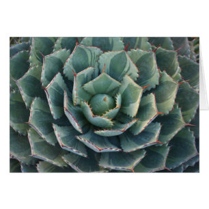 Gestreifte Agavenkarte