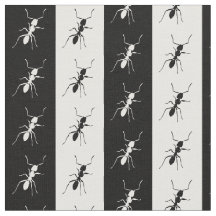 Gestreifte Ameisen, Schwarzweiss