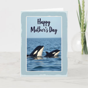 Gestreifte Aquatic Family Karte