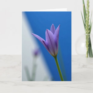 Gestreifte Blüten Grußkarte Karte