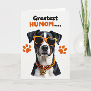 Gestreifte Coole Hundekarte Karte