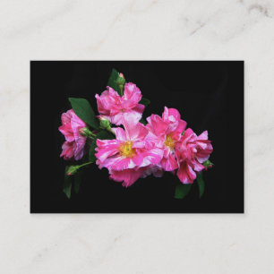 Gestreifte Rose ATC Visitenkarte