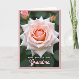 Gestreifte Rose Oma-Tag-Karte Karte