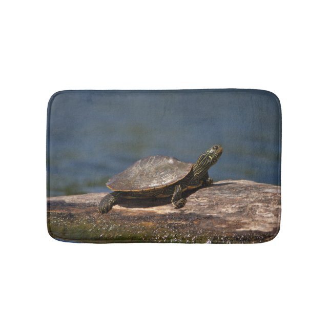 Gestreifte Schildkröte Badematte (Vorderseite)