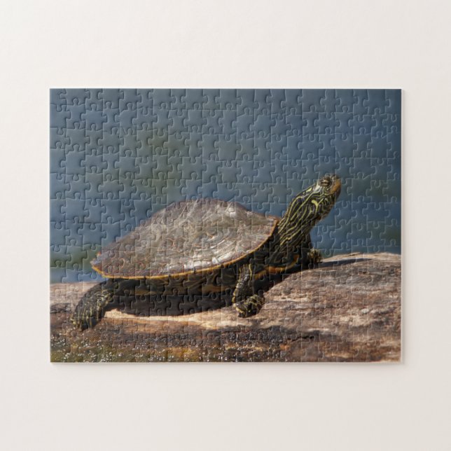 Gestreifte Schildkröte Puzzle (Horizontal)