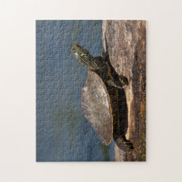 Gestreifte Schildkröte Puzzle