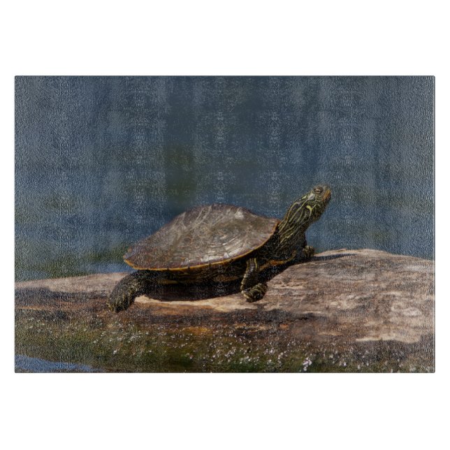 Gestreifte Schildkröte Schneidebrett (Vorderseite)