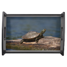 Gestreifte Schildkröte Tablett