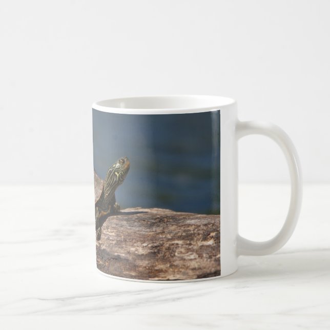 Gestreifte Schildkröte Tasse (Rechts)