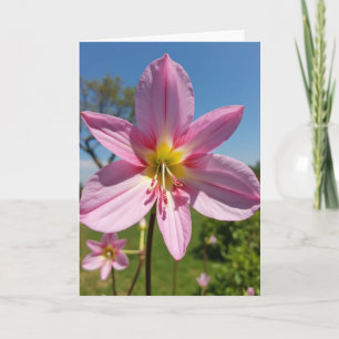 Gestreifte Staubblatt-Blumenkarte Karte