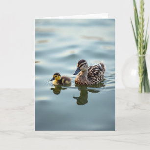 Gestreifte Wasservogel-Szene Karte