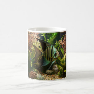 Gestreifter Altum-Segelflosser Kaffeetasse