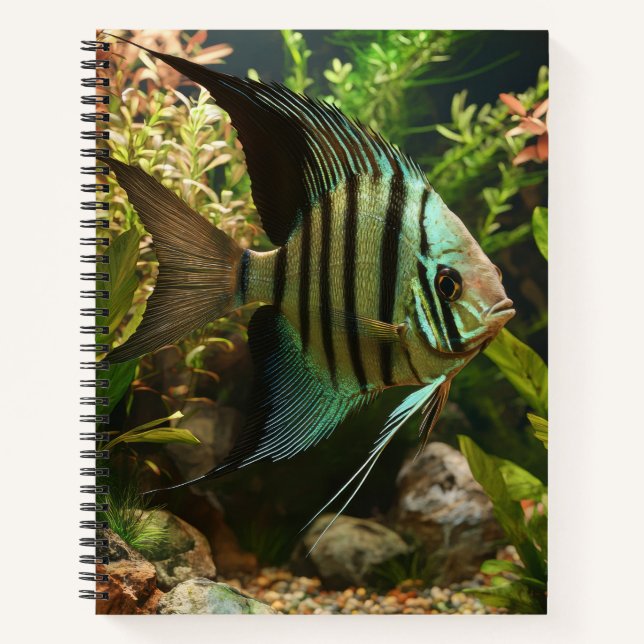Gestreifter Altum-Segelflosser  Notizbuch (Vorderseite)
