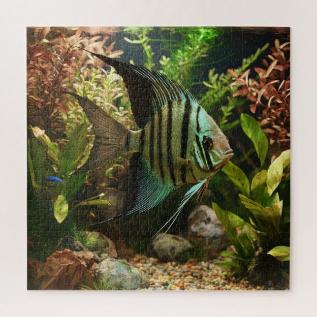 Gestreifter Altum-Segelflosser  Puzzle (Vertikal)