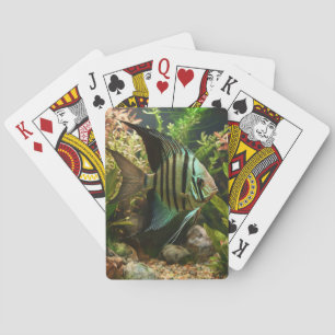 Gestreifter Altum-Segelflossler Spielkarten