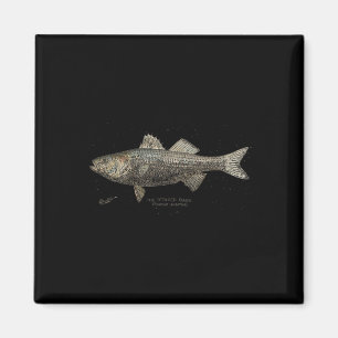 Gestreifter B Fischfang Magnet