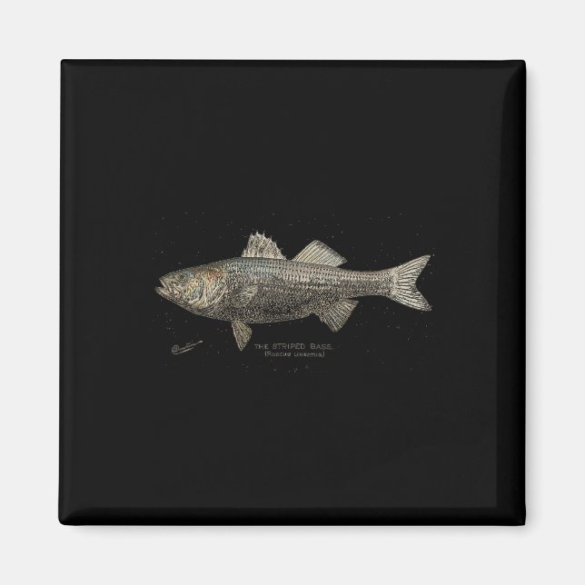 Gestreifter B Fischfang  Magnet (Vorne)