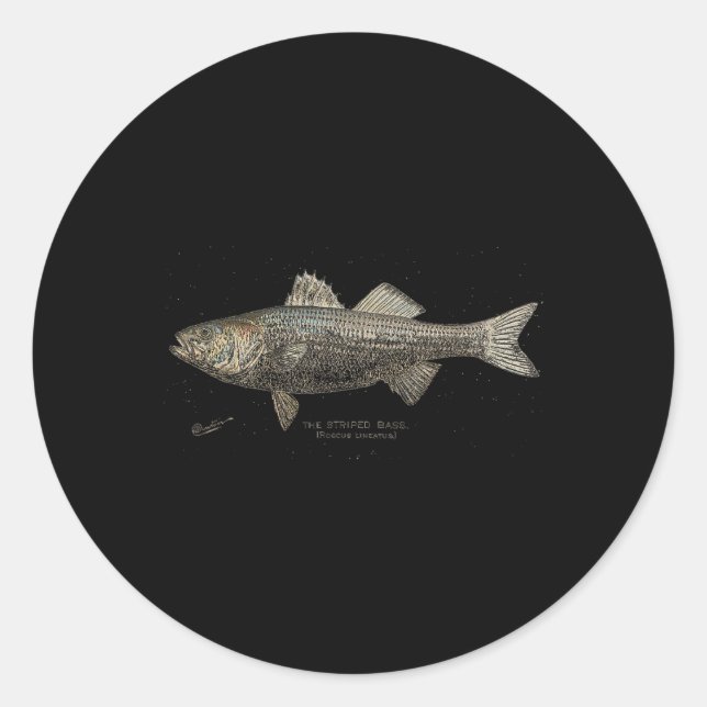 Gestreifter B-Fischfang Runder Aufkleber (Vorderseite)