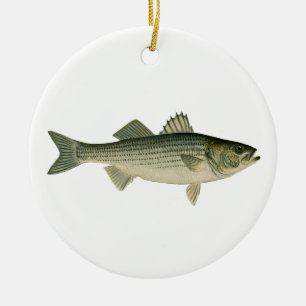 Gestreifter Bass-Logo Keramikornament