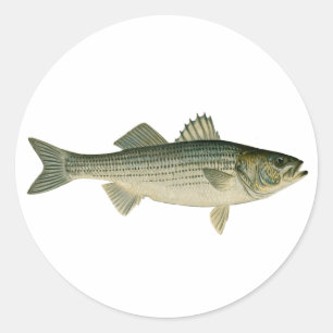 Gestreifter Bass-Logo Runder Aufkleber