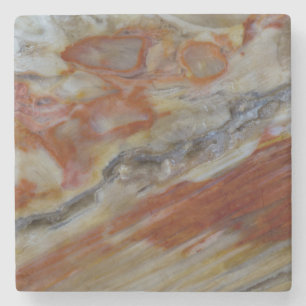 gestreiftes versteinertes Holz Steinuntersetzer