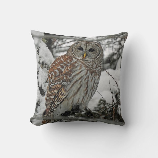 Gestrichene Eule Kissen (Vorderseite)