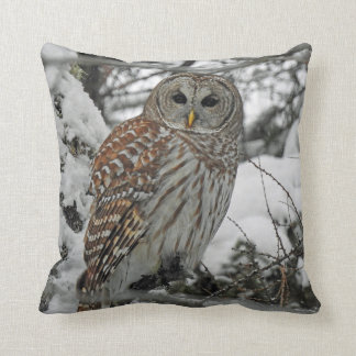 Gestrichene Eule Kissen