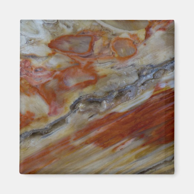 Gestriemtes versteinertes Holz Magnet (Vorne)