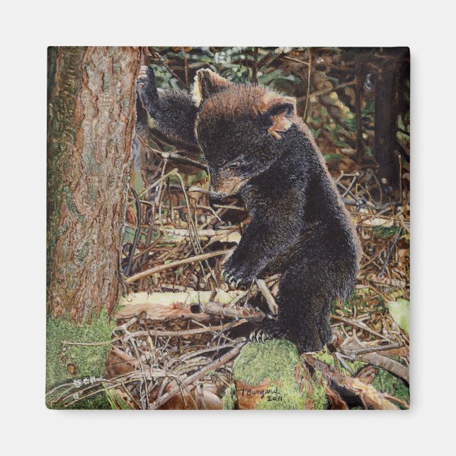 gestumpft magnet (Vorne)