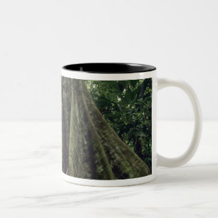 Gestützter Baum im Regenwald, Corcovado Zweifarbige Tasse