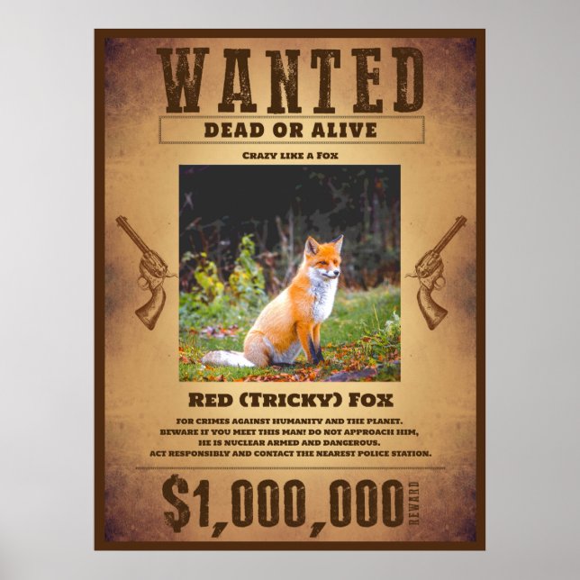 Gesucht  poster (Vorne)