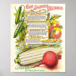 Gesunde, farbenfrohe Veggies Vintages Saatgut Poster