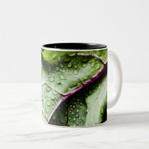 Gesunde Früchte Zweifarbige Tasse