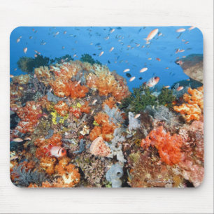 Gesunde Riffstruktur, Komodo-Nationalpark Mousepad