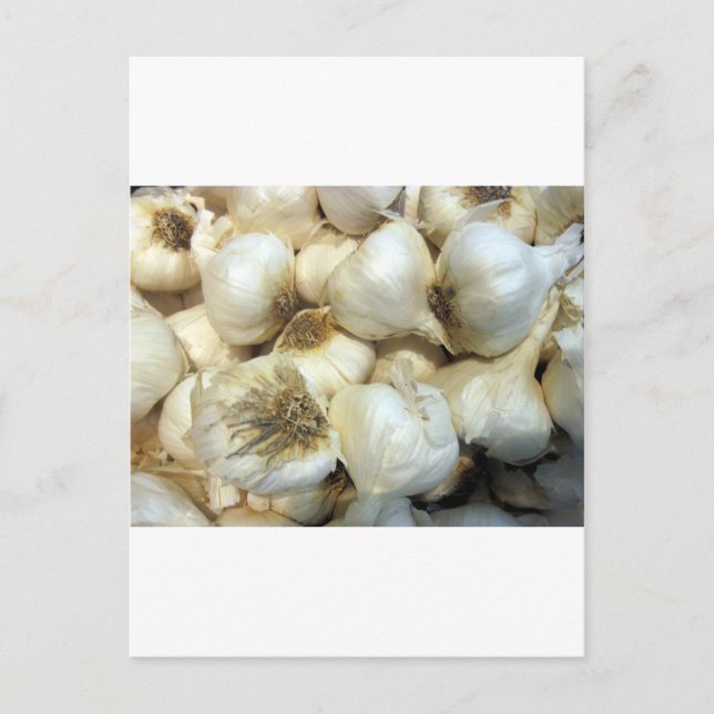 Gesunder Knoblauch Postkarte (Vorderseite)