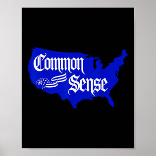 Gesunder Menschenverstand USA Patriotischer Stolz Poster
