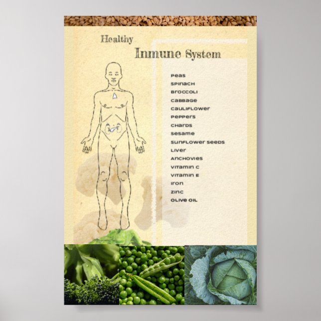 Gesundes Poster Immun System (Vorne)