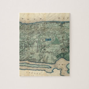Gesundheitspolizeiliche und topographische Karte v Puzzle