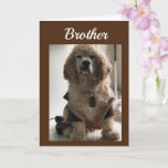 GET OUT & CELEBRATE YOUR DAY **BROTHER** CARD KARTE<br><div class="desc">THIS IS MY "16 1/2 YEAR OLD COCKER NAMED DAKOTA! HE LOVES POSING FOR MY CARDS!!!! THANKS FOR STOPPING BY ONE OF MY EIGHT STORES!!! REMEMBER - YOU CAN CHANGE THE 'AGE' AND 'VERSE' ON ALMOST ALL OF MY CARDS!!!!</div>