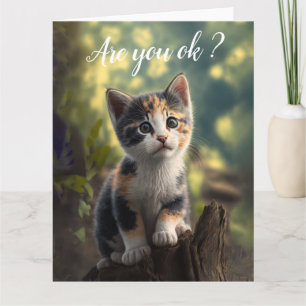 Get Well Adorable Calico Kitten Karte