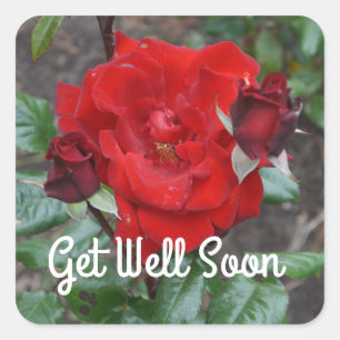 Get Well bald Crimson Bouquet Rose #1 Stickers