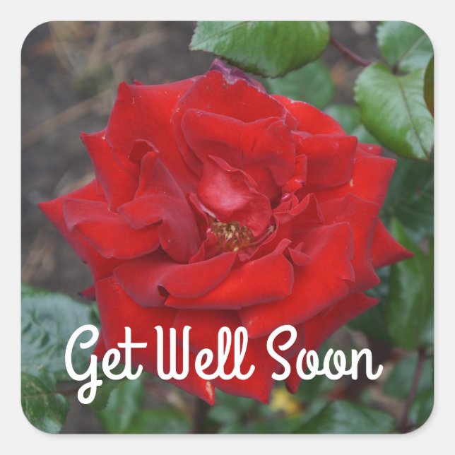 Get Well bald Crimson Bouquet Rose #3 Stickers (Vorderseite)