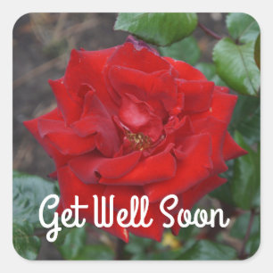 Get Well bald Crimson Bouquet Rose #3 Stickers