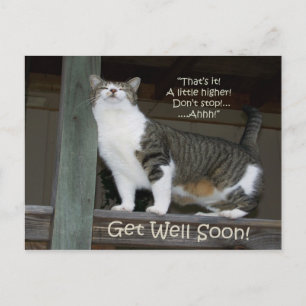 Get Well bald (Postcard) Postkarte