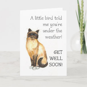 Get Well Card - Birman Cat Karte
