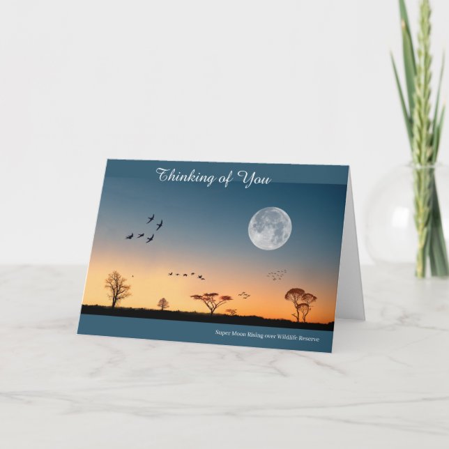 Get Well Card Karte (Vorderseite)