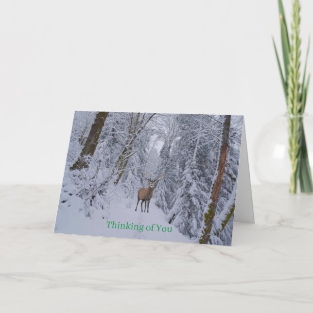 Get Well Card Karte (Vorderseite)