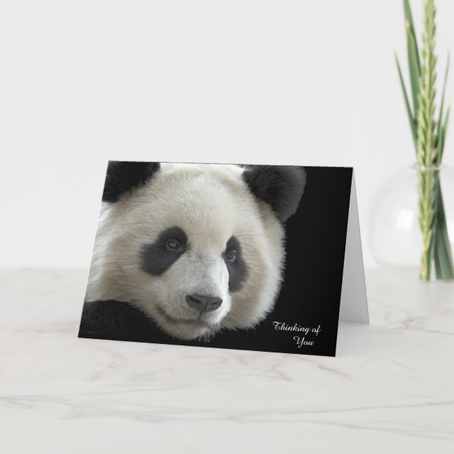 Get Well Card Panda Karte (Vorderseite)